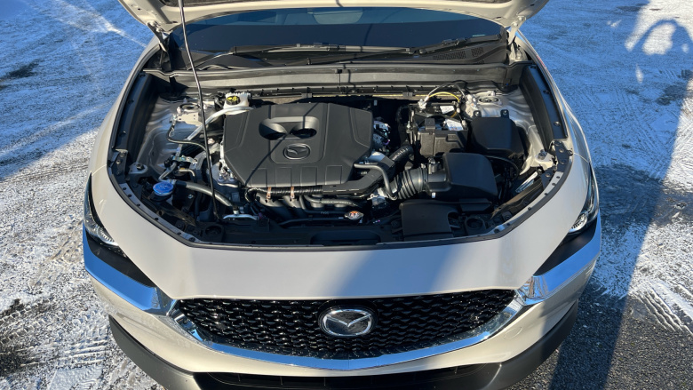 Mazda CX-30 2.5 e-Skyactiv G MHEV [140] Homura 5dr Petrol Hatchback